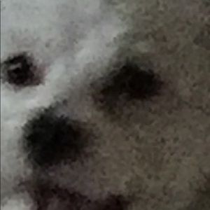 Meet your Posher, Erick